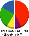 白清 貸借対照表 2011年5月期 白清 貸借対照表 2011年5月期