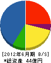 大坪電気 貸借対照表 2012年6月期 大坪電気 貸借対照表 2012年6月期