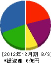 メーシック 貸借対照表 2012年12月期 メーシック 貸借対照表 2012年12月期
