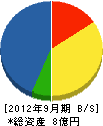 村瀬組 貸借対照表 2012年9月期 村瀬組 貸借対照表 2012年9月期