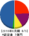 シンキ・コーポレーション 貸借対照表 2010年6月期 シンキ・コーポレーション 貸借対照表 2010年6月期