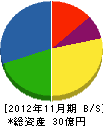 日本電算設備 貸借対照表 2012年11月期 日本電算設備 貸借対照表 2012年11月期