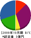 大洋工業 貸借対照表 2008年10月期 大洋工業 貸借対照表 2008年10月期
