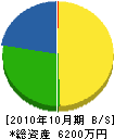 飯田庭園 貸借対照表 2010年10月期 飯田庭園 貸借対照表 2010年10月期