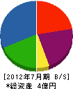 八洲 貸借対照表 2012年7月期 八洲 貸借対照表 2012年7月期