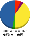 新東ルーフ 貸借対照表 2009年6月期 新東ルーフ 貸借対照表 2009年6月期