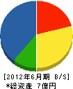 泉建設工業 貸借対照表 2012年6月期 泉建設工業 貸借対照表 2012年6月期