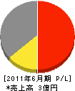 翔南工業 損益計算書 2011年6月期 翔南工業 損益計算書 2011年6月期