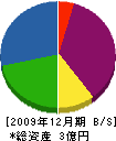 新和防災 貸借対照表 2009年12月期 新和防災 貸借対照表 2009年12月期