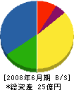 新和電工 貸借対照表 2008年6月期 新和電工 貸借対照表 2008年6月期