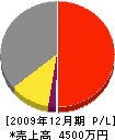 植木組 損益計算書 2009年12月期 植木組 損益計算書 2009年12月期