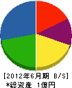 丸一開発 貸借対照表 2012年6月期 丸一開発 貸借対照表 2012年6月期