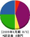 スガヤ 貸借対照表 2009年6月期 スガヤ 貸借対照表 2009年6月期