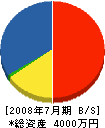 若尾建設 貸借対照表 2008年7月期 若尾建設 貸借対照表 2008年7月期