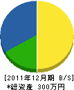 菅谷花樹園 貸借対照表 2011年12月期 菅谷花樹園 貸借対照表 2011年12月期