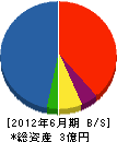 日愛工業 貸借対照表 2012年6月期 日愛工業 貸借対照表 2012年6月期