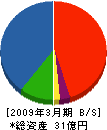 太平洋ソイル 貸借対照表 2009年3月期 太平洋ソイル 貸借対照表 2009年3月期