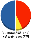 バンテック 貸借対照表 2009年3月期 バンテック 貸借対照表 2009年3月期