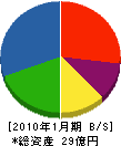 マツダ・シティーズ 貸借対照表 2010年1月期 マツダ・シティーズ 貸借対照表 2010年1月期