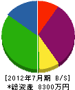 井上デンキ工事 貸借対照表 2012年7月期 井上デンキ工事 貸借対照表 2012年7月期
