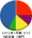 アルアピア 貸借対照表 2012年1月期 アルアピア 貸借対照表 2012年1月期