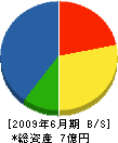 泉建設工業 貸借対照表 2009年6月期 泉建設工業 貸借対照表 2009年6月期