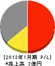 アルアピア 損益計算書 2013年1月期 アルアピア 損益計算書 2013年1月期