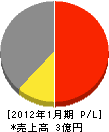 アルアピア 損益計算書 2012年1月期 アルアピア 損益計算書 2012年1月期