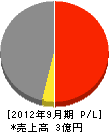 タツミ工業 損益計算書 2012年9月期 タツミ工業 損益計算書 2012年9月期