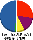 シンキ・コーポレーション 貸借対照表 2011年6月期 シンキ・コーポレーション 貸借対照表 2011年6月期