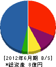 シンキ・コーポレーション 貸借対照表 2012年6月期 シンキ・コーポレーション 貸借対照表 2012年6月期
