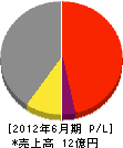 大島応用 損益計算書 2012年6月期 大島応用 損益計算書 2012年6月期