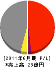 昭和 損益計算書 2011年6月期 昭和 損益計算書 2011年6月期