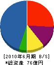 TOHO 貸借対照表 2010年6月期 TOHO 貸借対照表 2010年6月期