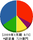 東亜道路工業 貸借対照表 2009年3月期 東亜道路工業 貸借対照表 2009年3月期