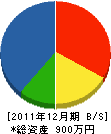 向陽建設 貸借対照表 2011年12月期 向陽建設 貸借対照表 2011年12月期