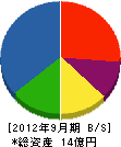 ナイスホーム 貸借対照表 2012年9月期 ナイスホーム 貸借対照表 2012年9月期