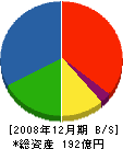 荏原実業 貸借対照表 2008年12月期 荏原実業 貸借対照表 2008年12月期