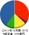サーラ住宅 貸借対照表 2011年10月期 サーラ住宅 貸借対照表 2011年10月期