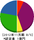 阪南メンテナンス 貸借対照表 2012年11月期 阪南メンテナンス 貸借対照表 2012年11月期