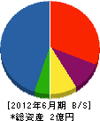 谷内建設 貸借対照表 2012年6月期 谷内建設 貸借対照表 2012年6月期