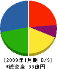 カナエ 貸借対照表 2009年1月期 カナエ 貸借対照表 2009年1月期
