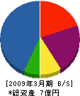 野村建設 貸借対照表 2009年3月期 野村建設 貸借対照表 2009年3月期