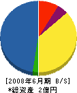 新東ルーフ 貸借対照表 2008年6月期 新東ルーフ 貸借対照表 2008年6月期