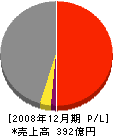 本間組 損益計算書 2008年12月期 本間組 損益計算書 2008年12月期