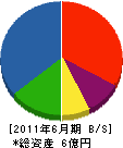 リンドス 貸借対照表 2011年6月期 リンドス 貸借対照表 2011年6月期