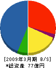 サンプラント 貸借対照表 2009年3月期 サンプラント 貸借対照表 2009年3月期