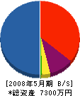 愛地エンジニアリング 貸借対照表 2008年5月期 愛地エンジニアリング 貸借対照表 2008年5月期