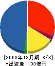 ブリヂストンIPS 貸借対照表 2008年12月期 ブリヂストンIPS 貸借対照表 2008年12月期