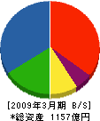 東洋建設 貸借対照表 2009年3月期 東洋建設 貸借対照表 2009年3月期